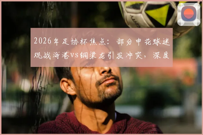 2026年足协杯焦点：部分申花球迷观战海港vs铜梁龙引发冲突，深度剖析上海球迷文化现状与隐患